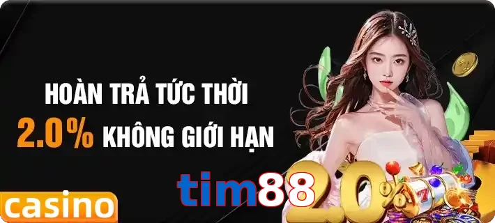tim88