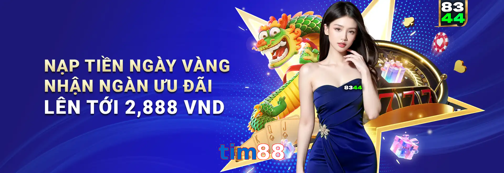 tim88