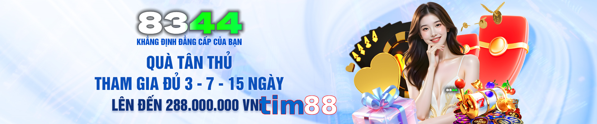 tim88