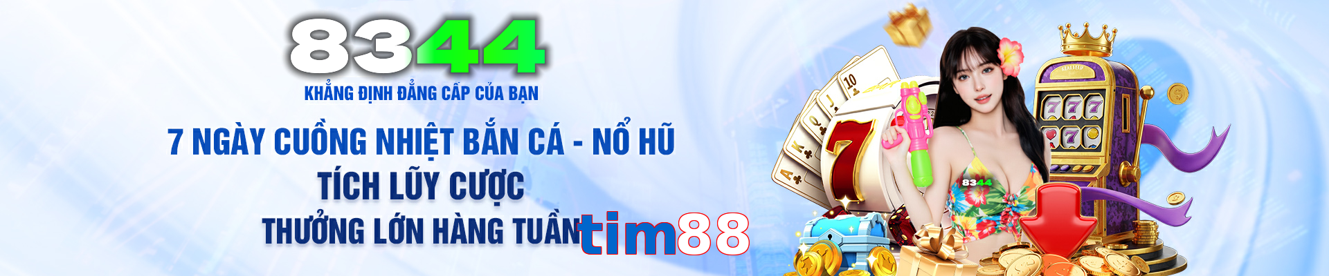 tim88